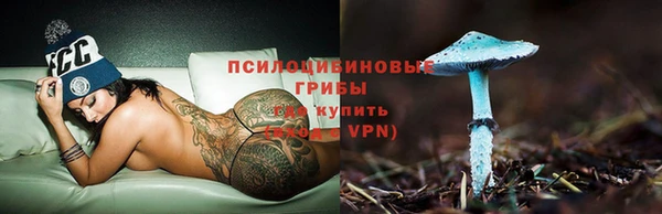 спиды Алексин
