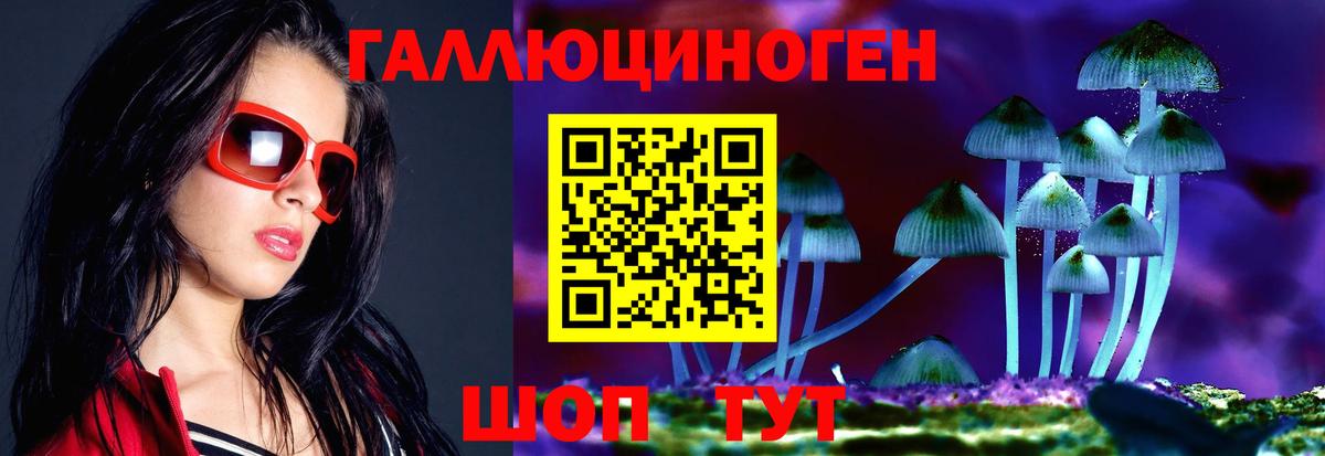 Псилоцибиновые грибы Cubensis Санкт-Петербург